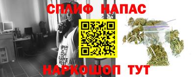сатива Пенза